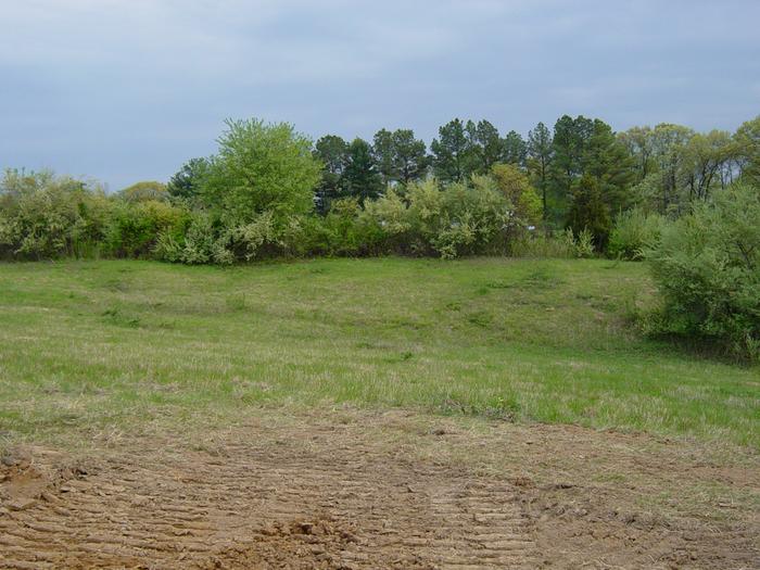 Fence before construction began