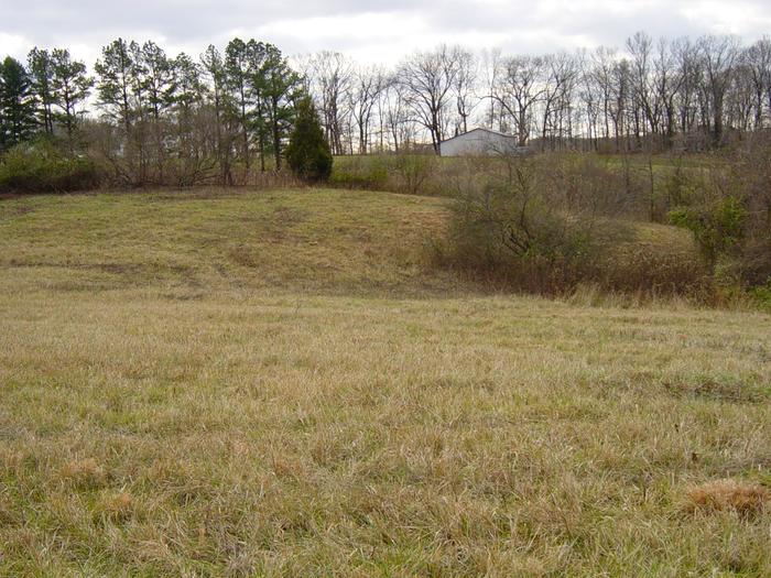 Just after we bought the land and had it mowed