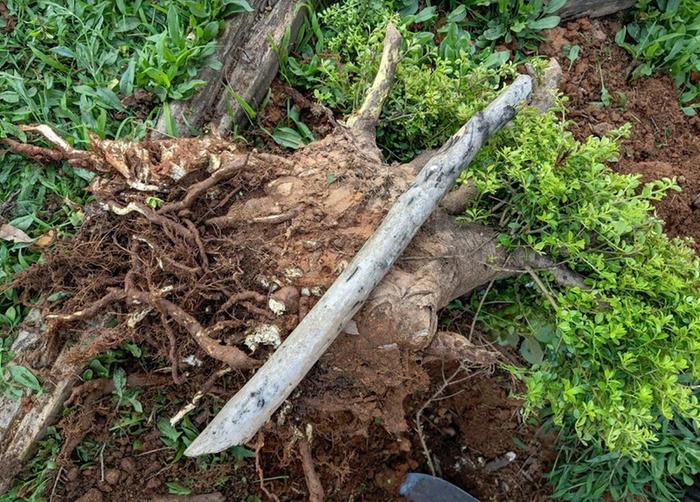 old piece of Crape Myrtle for the handle and a shrubbery root for the head