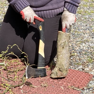 curly willow and hatchet