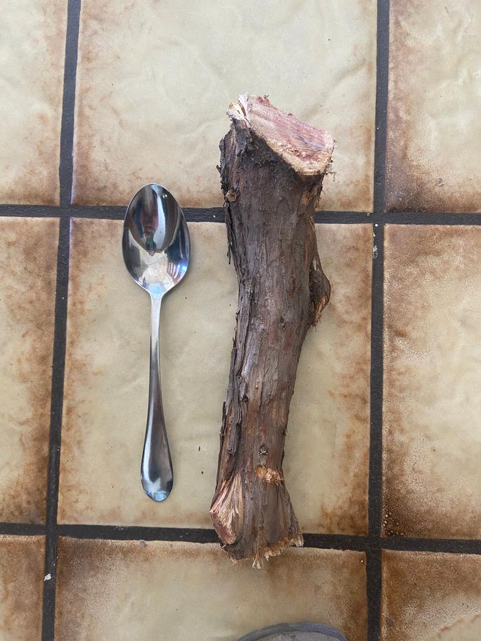 Timber I used to make spoon