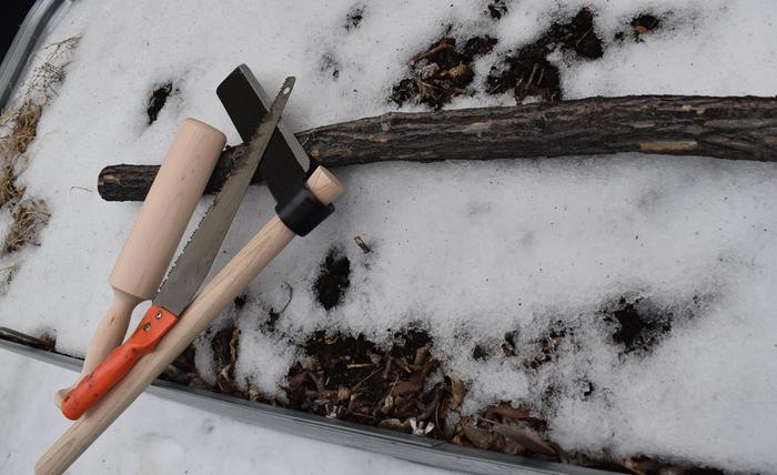 Gleaned elm branch with pruning saw and riving froe