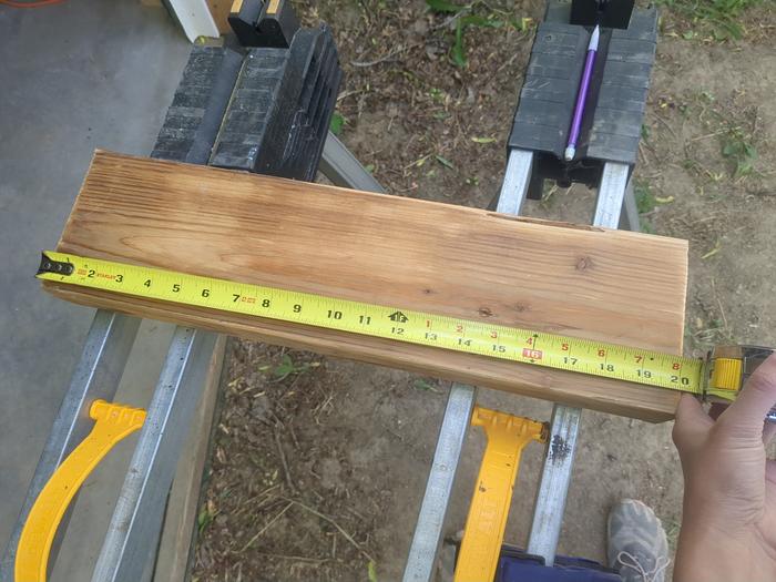 20 inches long.