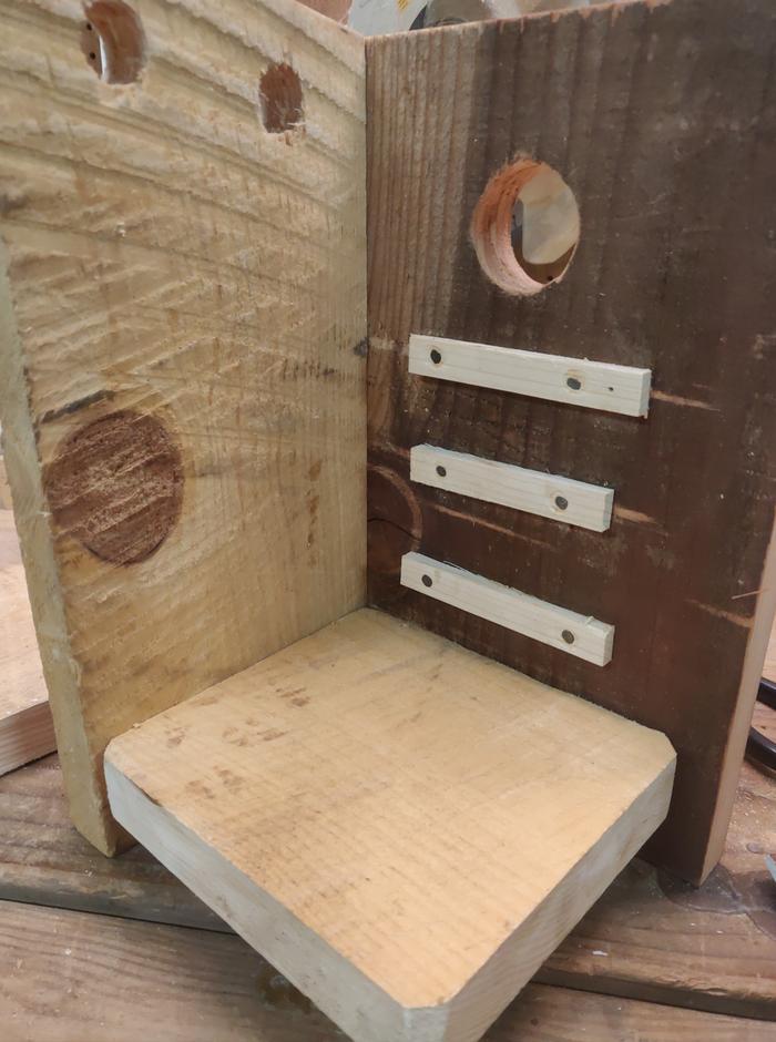 Bird house under construction