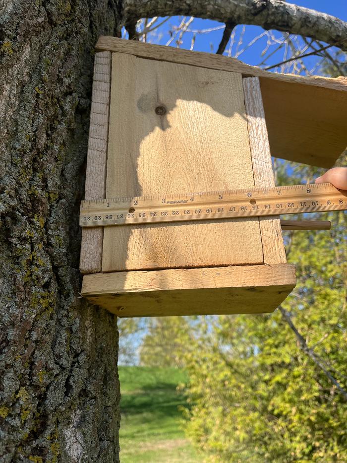 5 1/4 inches wide