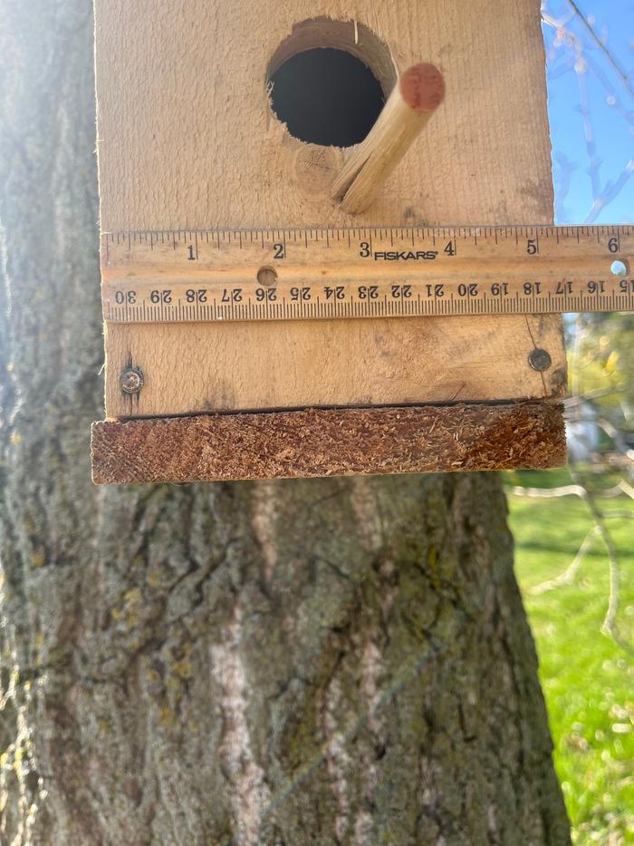 6 3/4 inches depth