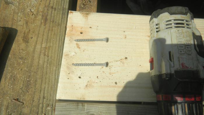 Pilot holes and woodscrews