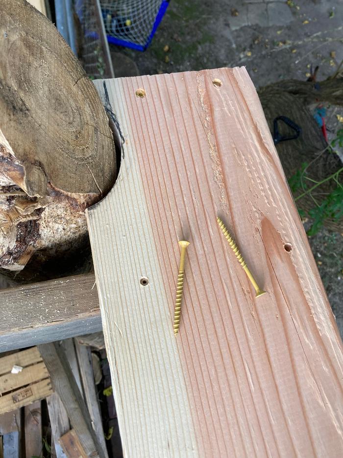 Pilot hole and wood screw