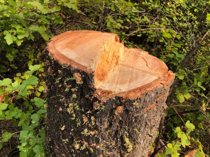 Diameter