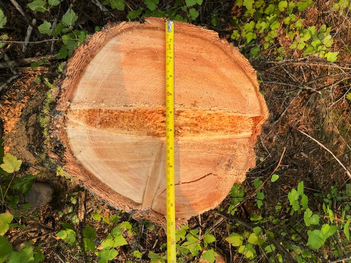 With tape measure
