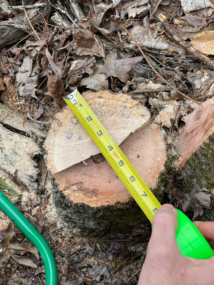 stump measurement