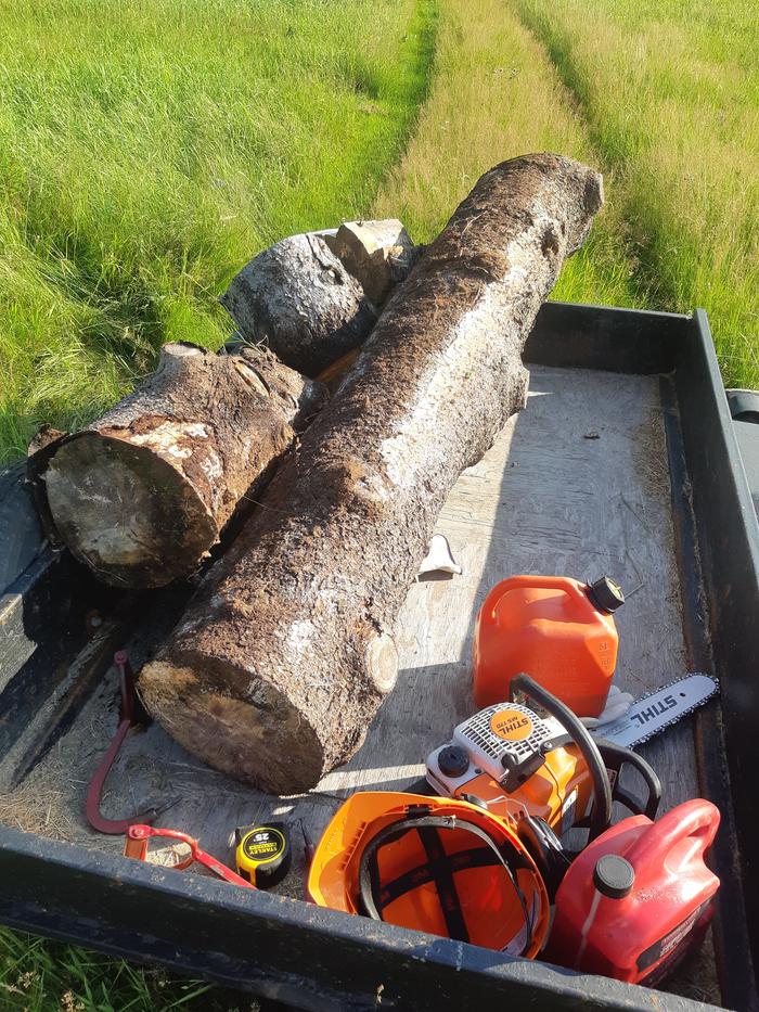 Collecting the logs