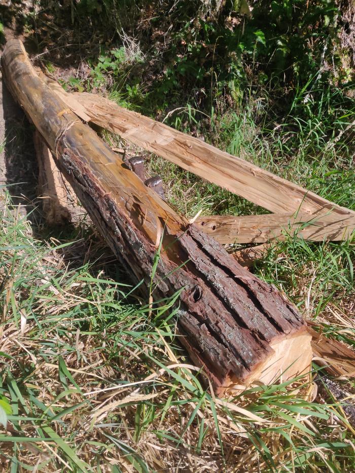 cedar bench