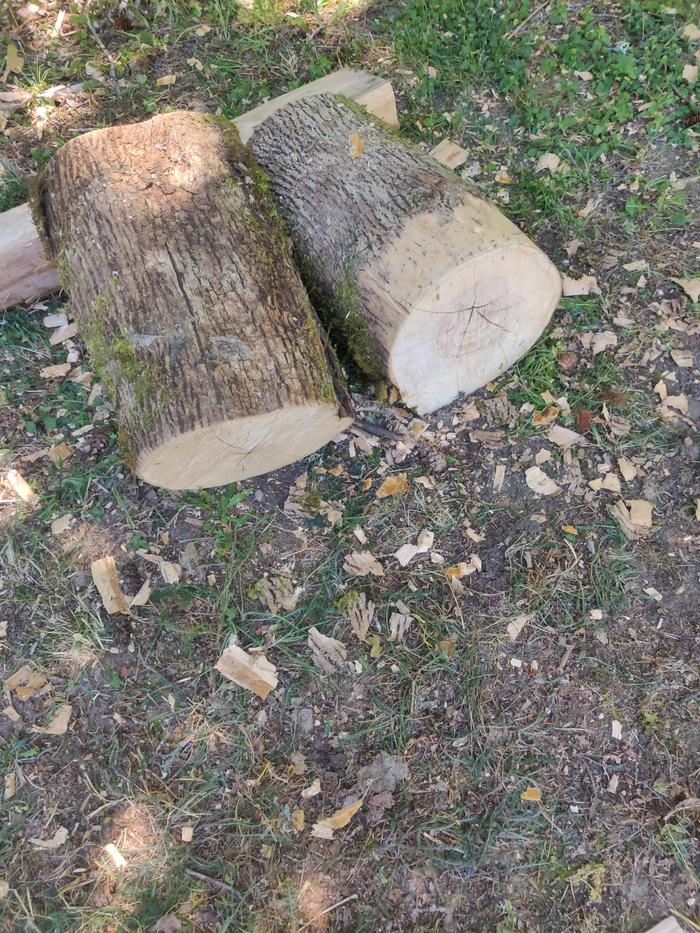 ash logs