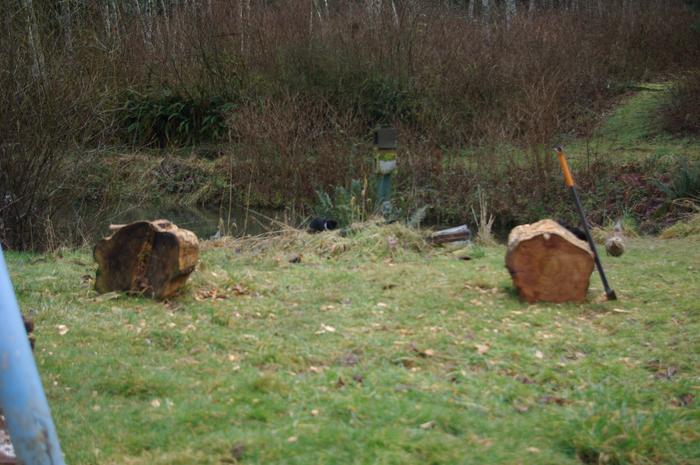 Logs almost in place