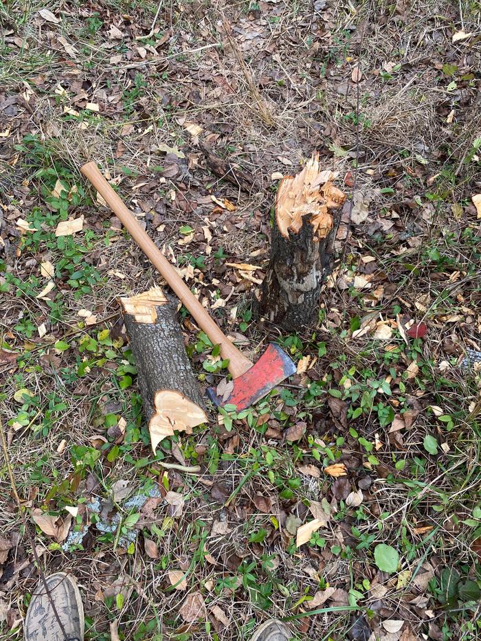 [Thumbnail for IMG_0067.jpeg]