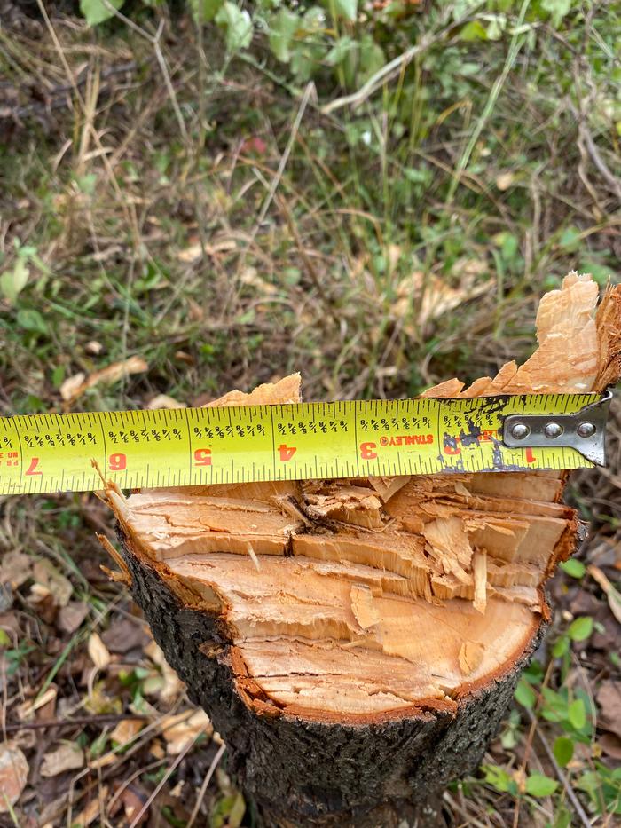 [Thumbnail for IMG_0070.jpeg]