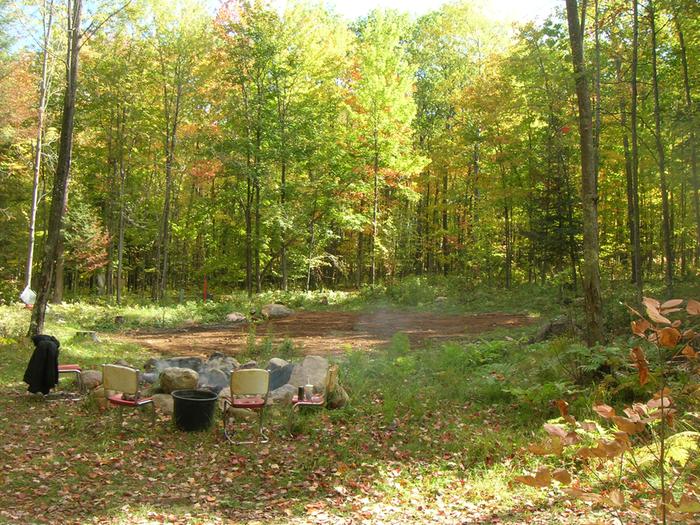 Here's the lot before I started digging. Note the stump on the left.