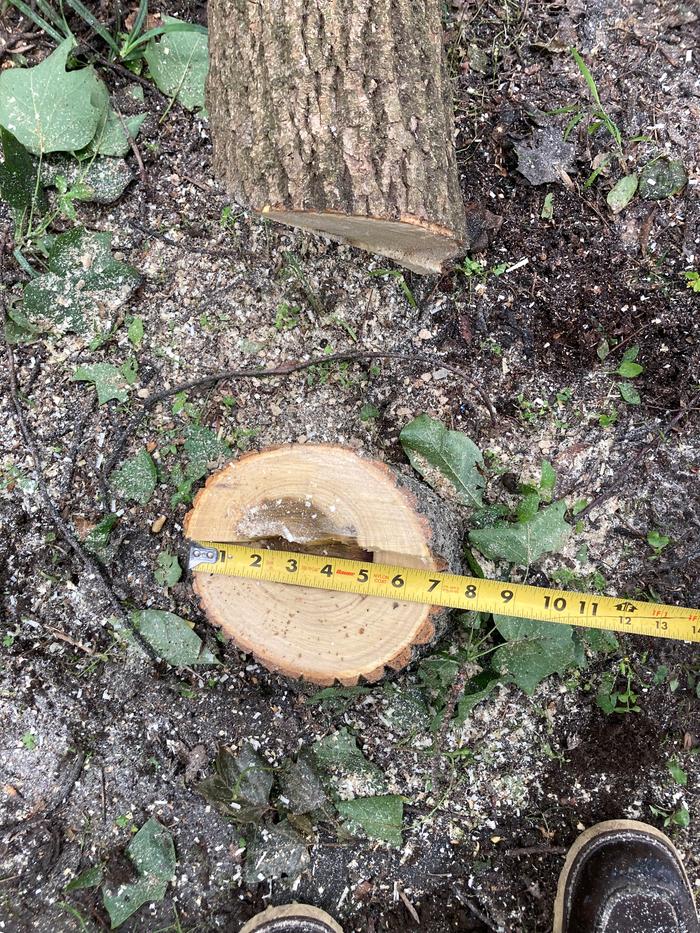 Diameter