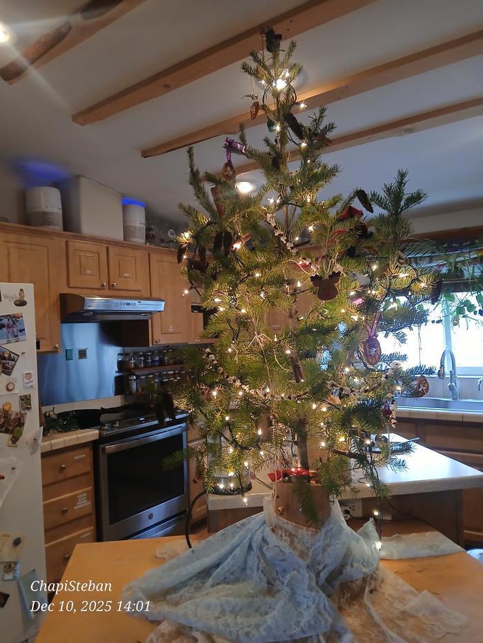 [Thumbnail for 20251210_140139.jpg]