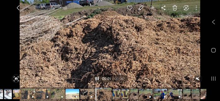 Wood chip pile before working