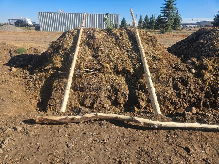Three logs I started with