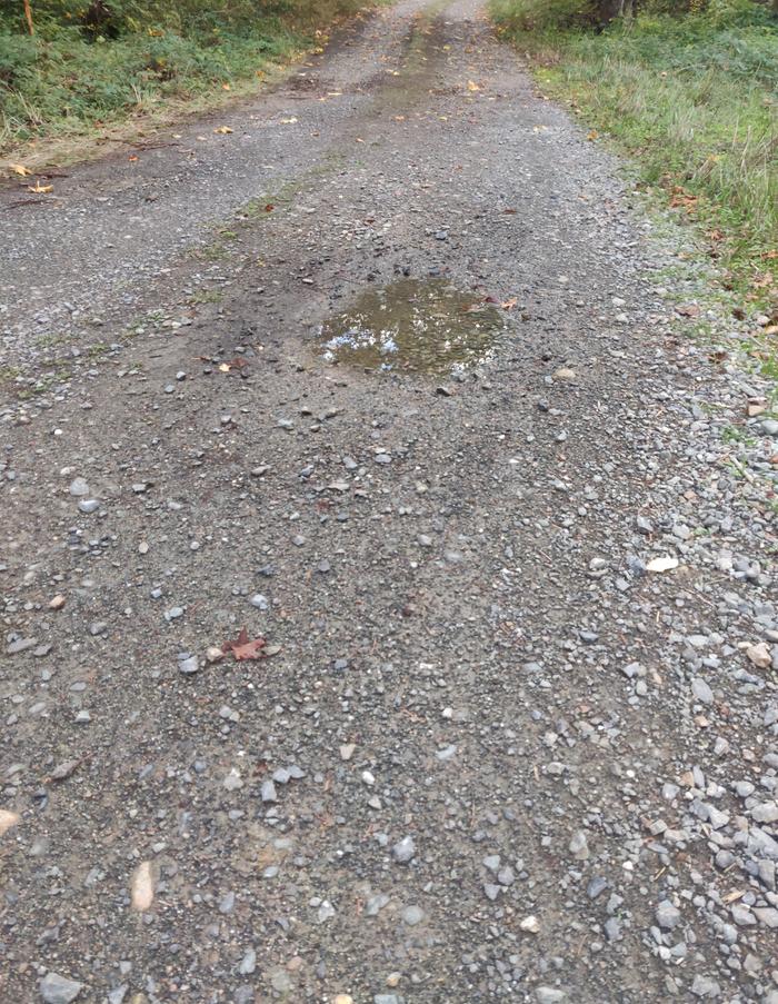 The pothole/puddle in the road that is to be eliminated