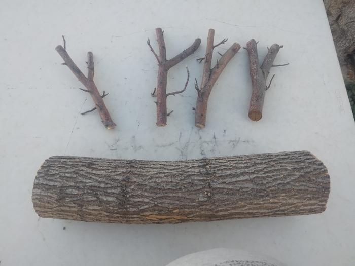 rough pieces of wood