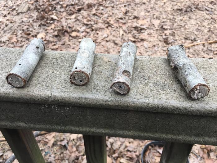 pegs