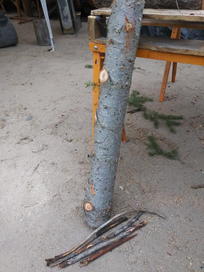 [Thumbnail for starting-wood.jpg]