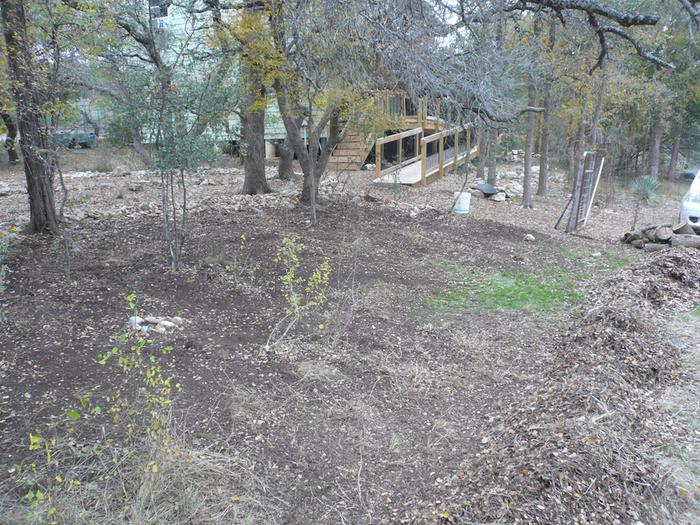 New large pollinator habitat in the front yard where some oaks had died