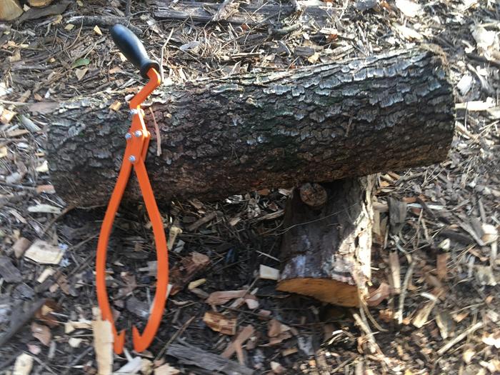 fresh log